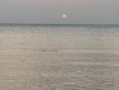 【椰樹婆娑 流水潺潺】 海南某污水處理廠項目調試優化進行中